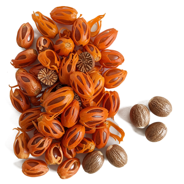 Macis ( البسبيسة )